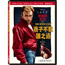 養子不教誰之過