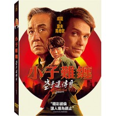 小子難纏：空手道傳奇