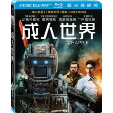 成人世界