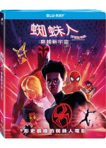 蜘蛛人：穿越新宇宙