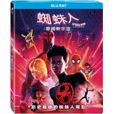 蜘蛛人：穿越新宇宙