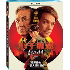 小子難纏：空手道傳奇